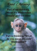 Image result for Funny Wednesday Day Quotes Positive