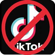 Image result for TikTok Ban