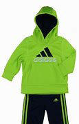 Image result for Dog Adidas Suit