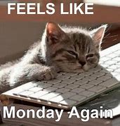 Image result for Monday Pics Funny