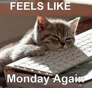 Image result for Monday Work Memes Funny Quotes