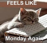 Image result for Mondays Be Like Office Memes