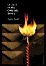 Image result for The Serbs Book