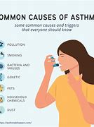 Image result for Causes of Asthma Disease