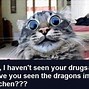 Image result for LSD Cat Dragons Meme