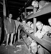 Image result for Liberated Concentration Camps