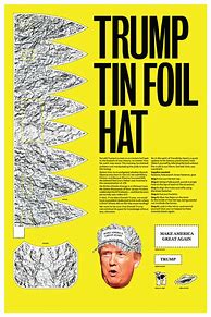 Image result for Tin Foil Maga Hat