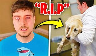Image result for Mr. Beast Crying