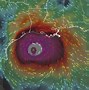 Image result for Hurricane Delta On a World Map Postion