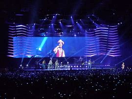 Image result for Elton John Concert at Panthers Stadiium