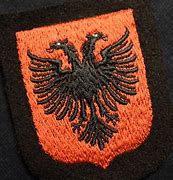 Image result for Waffen SS Estonia