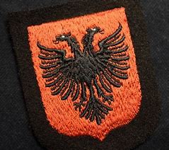 Image result for Waffen SS Emblem