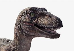 Image result for Jurassic Park Raptor Head
