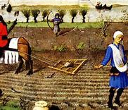 Image result for Using a Medieval Harrow