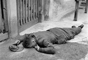 Image result for World War 2 Soldiers Dead