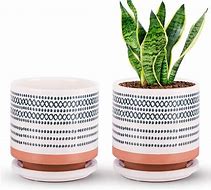 Image result for Amazon Planters Pots