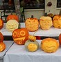 Image result for Things You Find at a Fall Pumpkin Fest