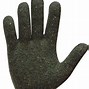 Image result for Glove Liners