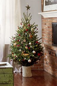 Image result for Small Christmas Tree