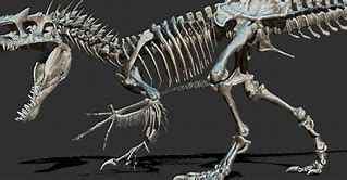 Image result for Indominus Rex Skull