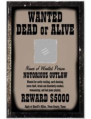 Image result for Wanted Poster with Description