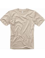 Image result for Nikw Beige Shirts