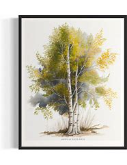 Image result for Tree Portrait