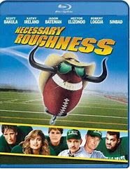 Image result for Necessary Roughness