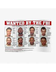 Image result for Example of FBI Most Wanted Poster