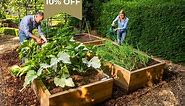 Allotment Wooden Raised Beds - Harrod Horticultural