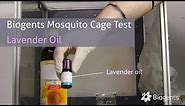 Does Lavender Oil Repel Mosquitoes? Biogents Mosquito Cage Test