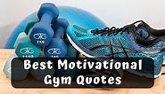 ▷ 173 Best Motivational Gym Quotes to Boost Workout (2024)