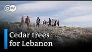Lebanon: Planting cedar trees in a country in crisis | Global Ideas