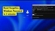 Reset Forgotten Windows 11/10 password in 3 minutes