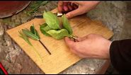 How to take softwood or soft tip cuttings