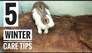 5 Rabbit Winter Care Tips || How to Take Care of Rabbits In Winter || All About Pets
