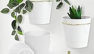 Wall Planters for Indoor Plants 3 Pack 6 Inch Flower Pot Holders Metal Ring with Self Watering Pots Wall Hanging Planters Gold-White