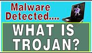 What is a Trojan Horse Virus?