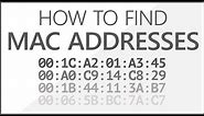 How to find MAC address on Network | MAC address finder