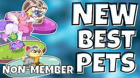 Prodigy Math Game | The NEW BEST PETS in Prodigy! (Non-Member)