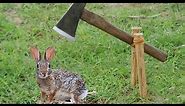 Easy Rabbit Trap| Simple DIY Creative Rabbit Trap Using Axe That Work 100%