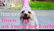 How to Throw an Awesome Party in 10 Steps (With Examples)
