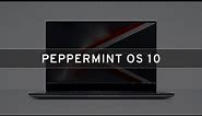 Peppermint OS 10 – Based on Ubuntu 18.04.2 LTS and Available in 32bit and 64bit