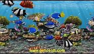 3D Fish School Screensaver, Tropical Fish Swimming Free on Desktop Aquarium Windows 10