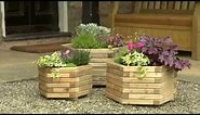 Marford Hexagonal Planter Set by Zest Outdoor Living