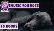 Relax My Dog in my House - Music For Dogs, Puppy Sleeping Lullabies - Helped 2 million dogs already