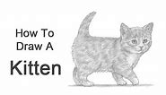 How to Draw a Kitten