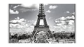 Eiffel Tower Print, Black and White Art, Eiffel Tower Wall Art, Paris Photo, France Print, Paris Art- 11x14 Poster Print