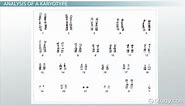 Human Karyotype Overview, Disorders & Examples