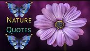 Nature Quotes | Beautiful Nature Quotes